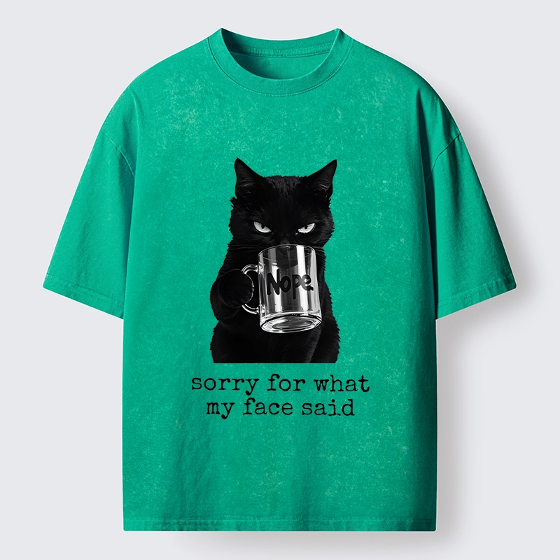Tokyo‑Tiger Funny Sassy Cat Washed T‑Shirt