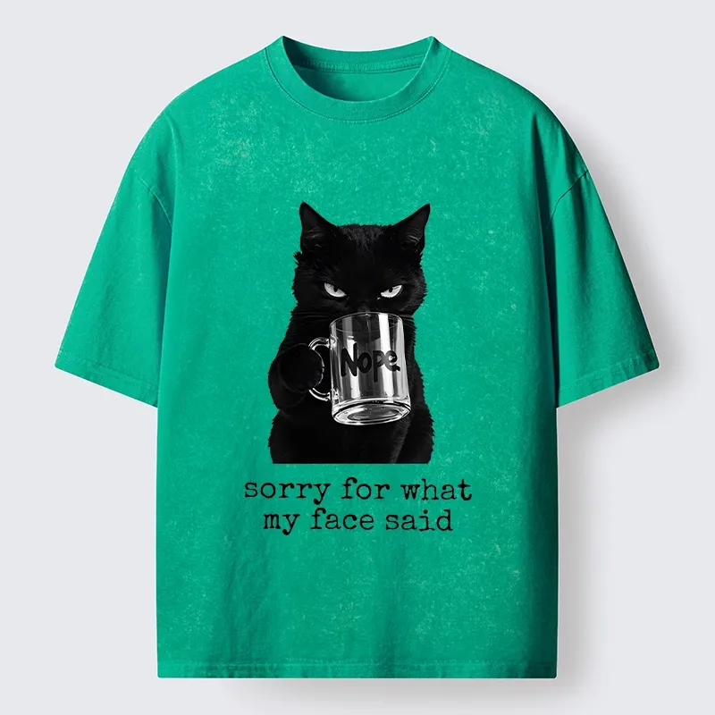 Tokyo‑Tiger Funny Sassy Cat Washed T‑Shirt