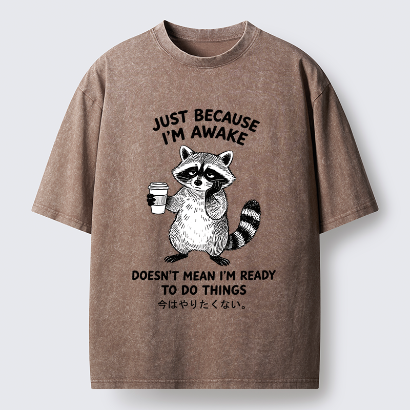Tokyo-Tiger Tired Raccoon Coffee Washed T-Shirt