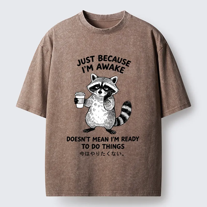 Tokyo-Tiger Tired Raccoon Coffee Washed T-Shirt