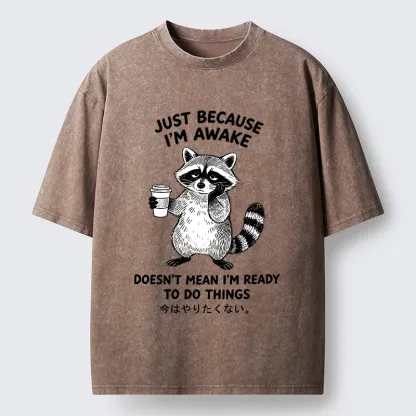 Tokyo-Tiger Tired Raccoon Coffee Washed T-Shirt