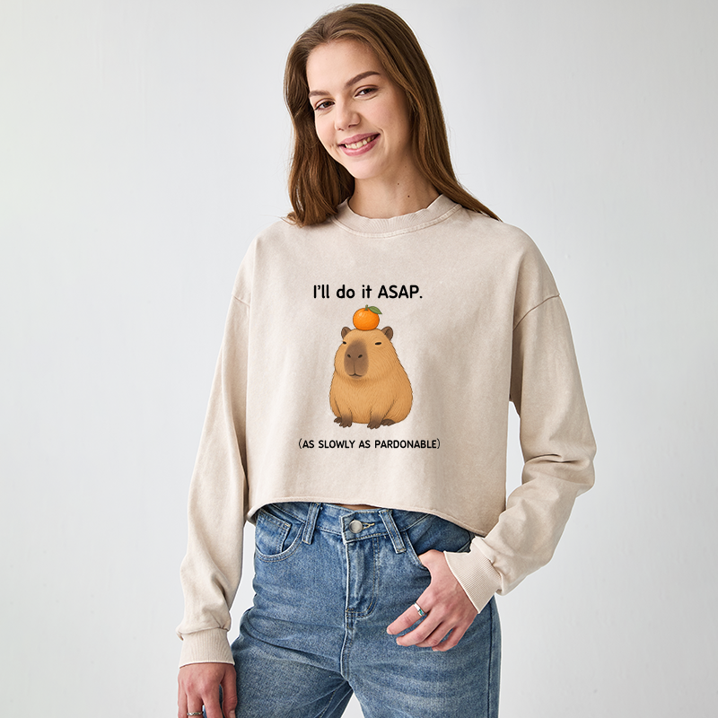 Tokyo-Tiger Slow Task Capybara Meme Washed Crop Sweatshirt