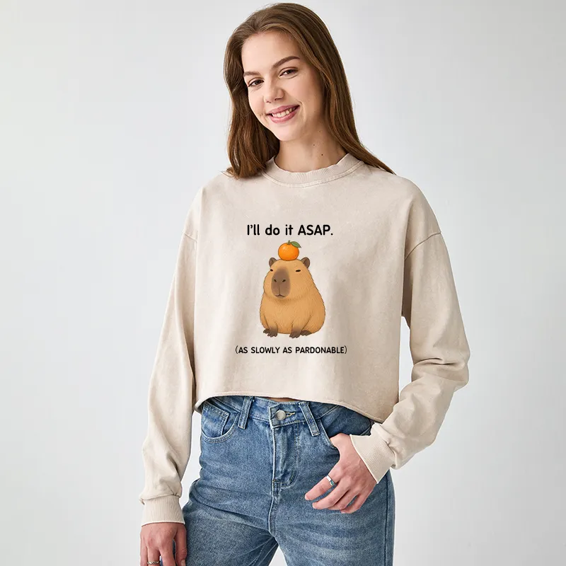 Tokyo-Tiger Slow Task Capybara Meme Washed Crop Sweatshirt