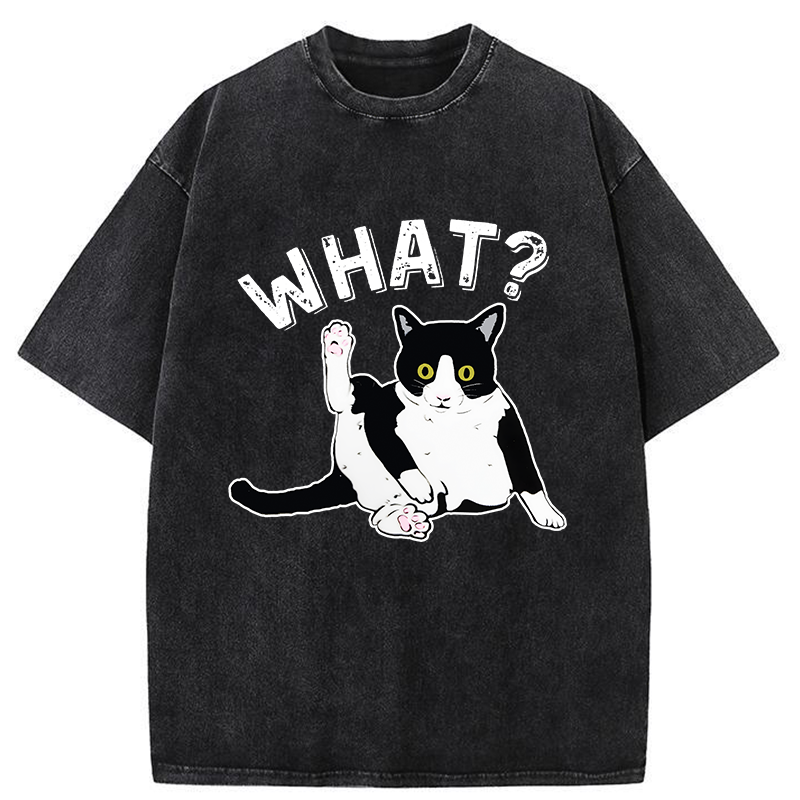 Tokyo-Tiger Cat's Question Washed T-Shirt