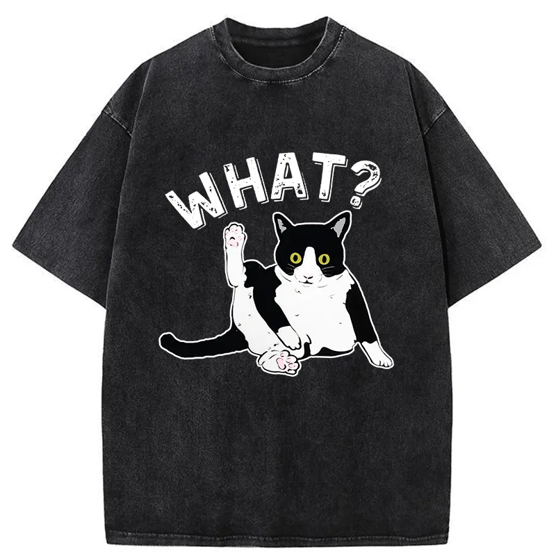 Tokyo-Tiger Cat's Question Washed T-Shirt
