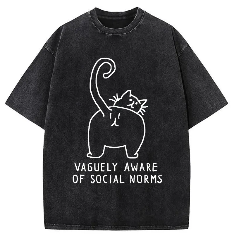 Tokyo-Tiger Vague Understanding Funny Washed T-Shirt