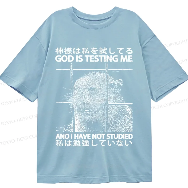 Tokyo-Tiger God Is Testing Me Classic T-Shirt