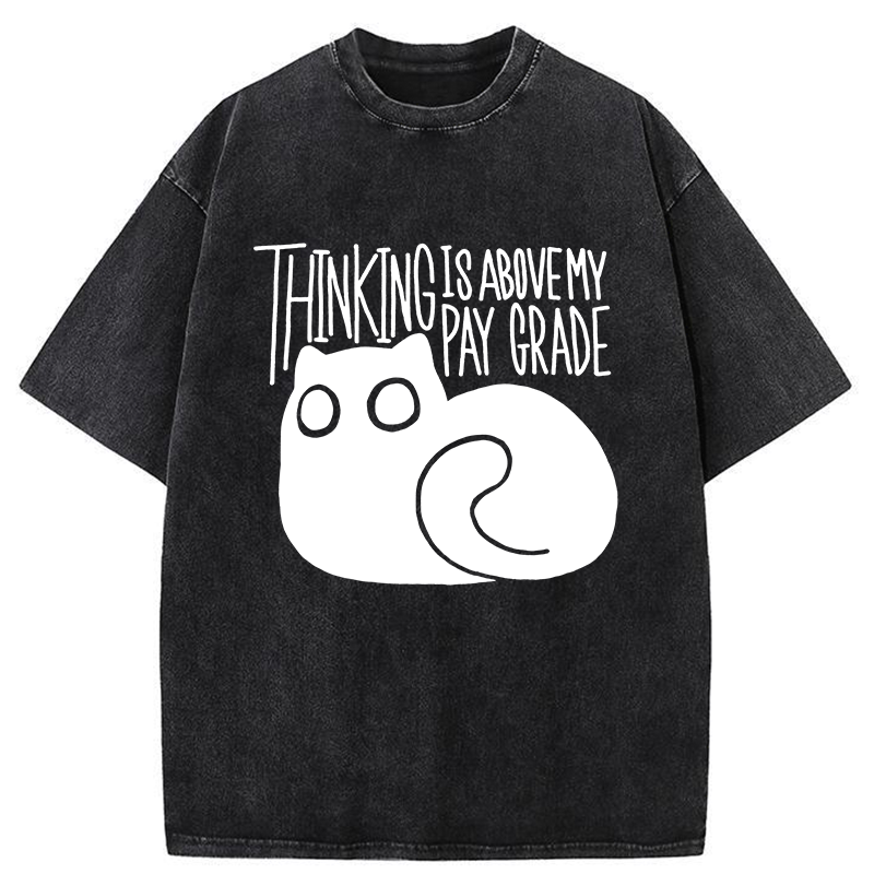 Tokyo-Tiger Thinking Crash Cat Washed T-Shirt