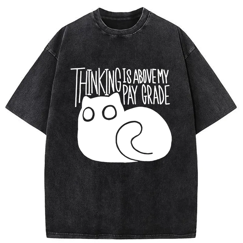 Tokyo-Tiger Thinking Crash Cat Washed T-Shirt