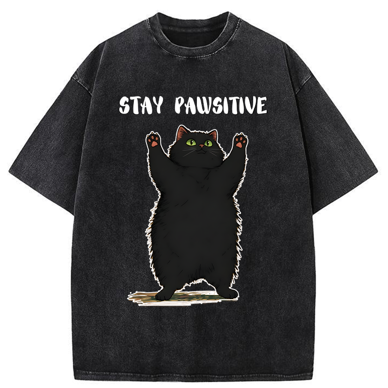 Tokyo-Tiger Cat Stay Pawsitive Washed T-Shirt