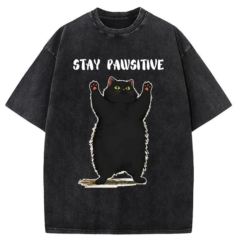 Tokyo-Tiger Cat Stay Pawsitive Washed T-Shirt