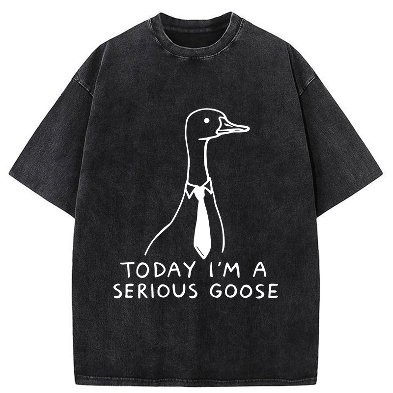 Tokyo-Tiger Serious Goose Funny Washed T-Shirt