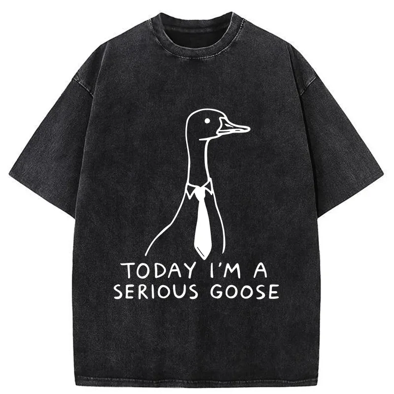 Tokyo-Tiger Serious Goose Funny Washed T-Shirt