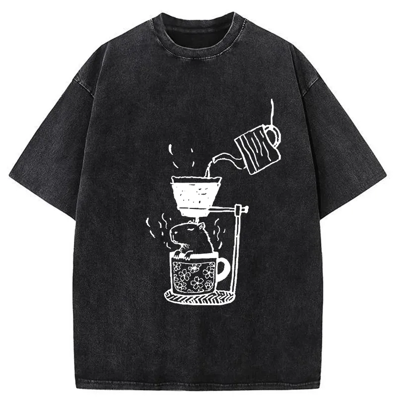 Tokyo-Tiger Japanese-style Bathing Funny Washed T-Shirt