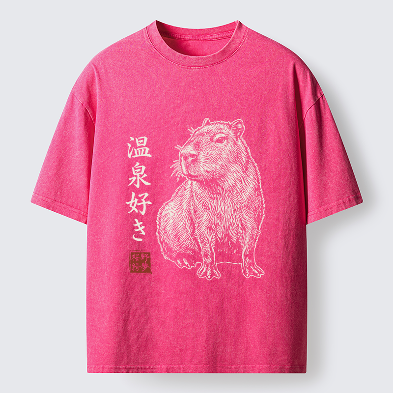 Tokyo-Tiger Hot Spring Enthusiasts Washed T-Shirt