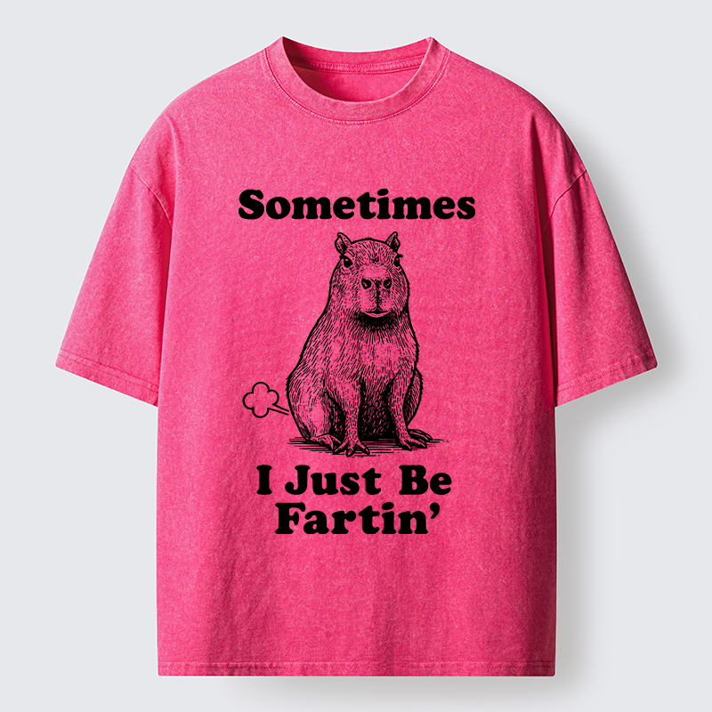 Tokyo-Tiger Farting Capybaras Washed T-Shirt