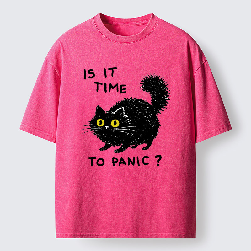Tokyo-Tiger Is It Time To Panic Washed T-Shirt