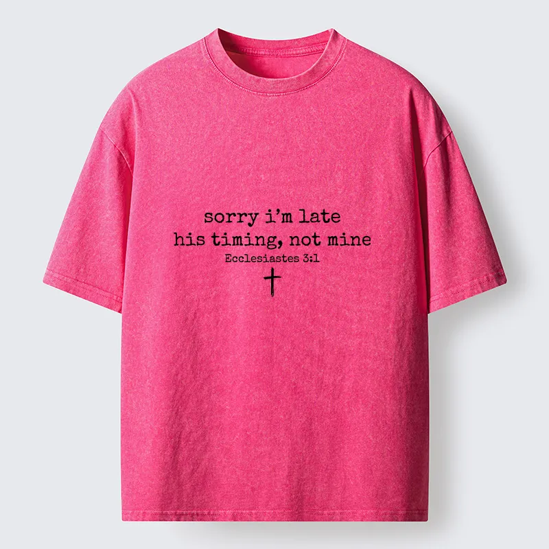 Tokyo-Tiger I Was Late For Some Reason Washed T-Shirt