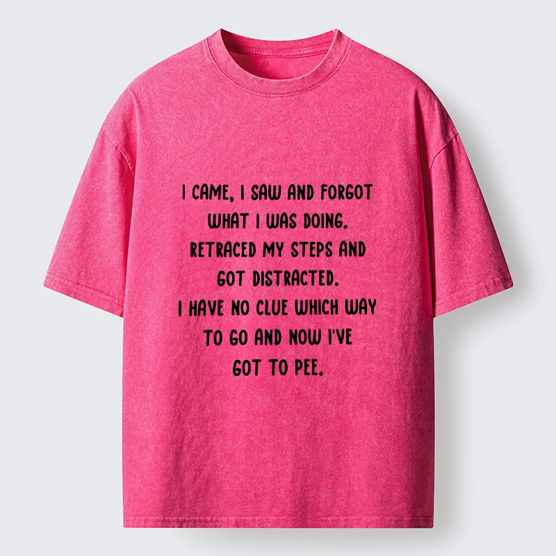 Tokyo-Tiger Forgot What I Was Doing Washed T-Shirt