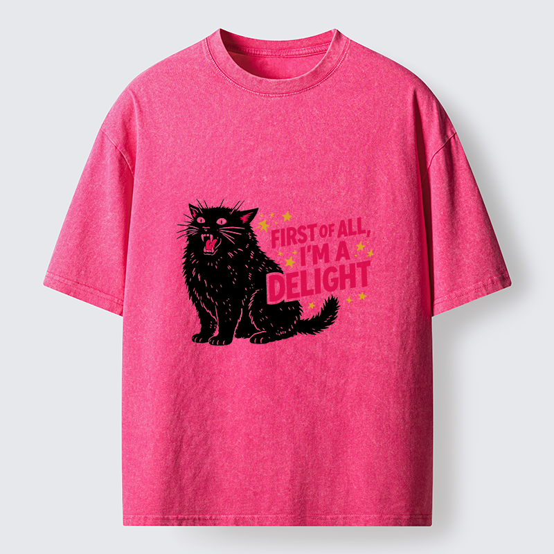 Tokyo-Tiger With A Lake In Your Heart, Every Place Is A Beautiful Landscape Washed T-Shirt