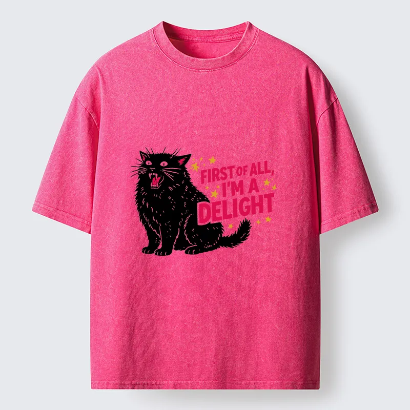 Tokyo-Tiger With A Lake In Your Heart, Every Place Is A Beautiful Landscape Washed T-Shirt