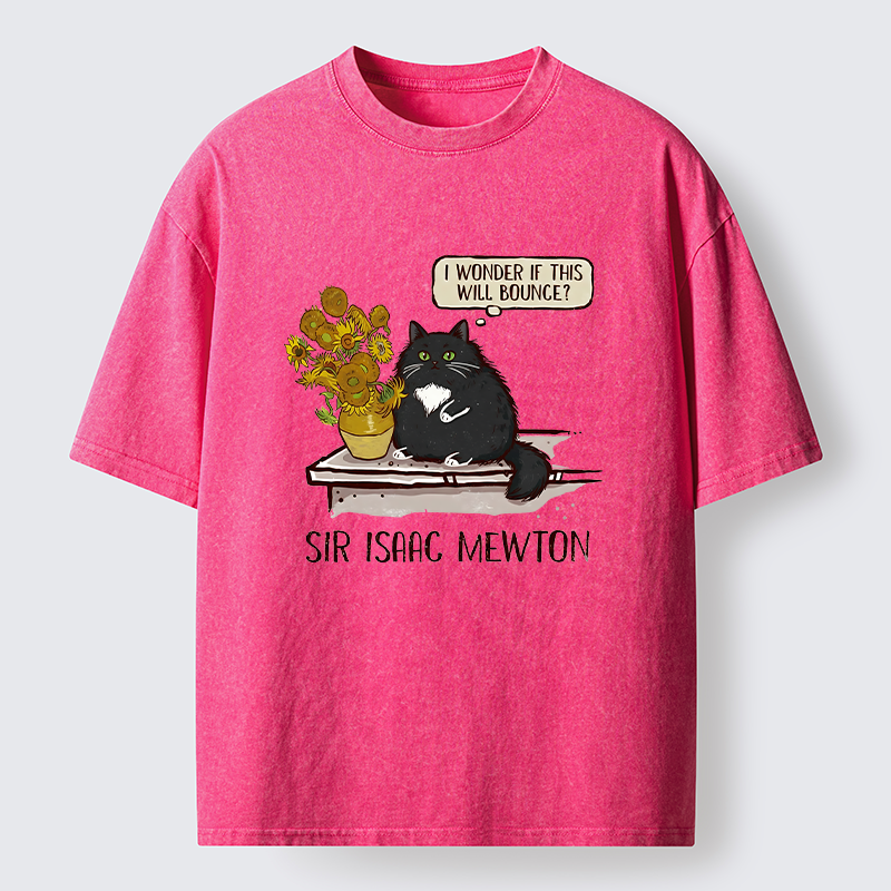 Tokyo-Tiger Cat Wants To Do A Physics Experiment Washed T-Shirt