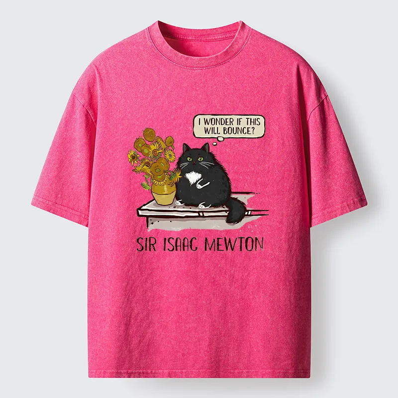 Tokyo-Tiger Cat Wants To Do A Physics Experiment Washed T-Shirt