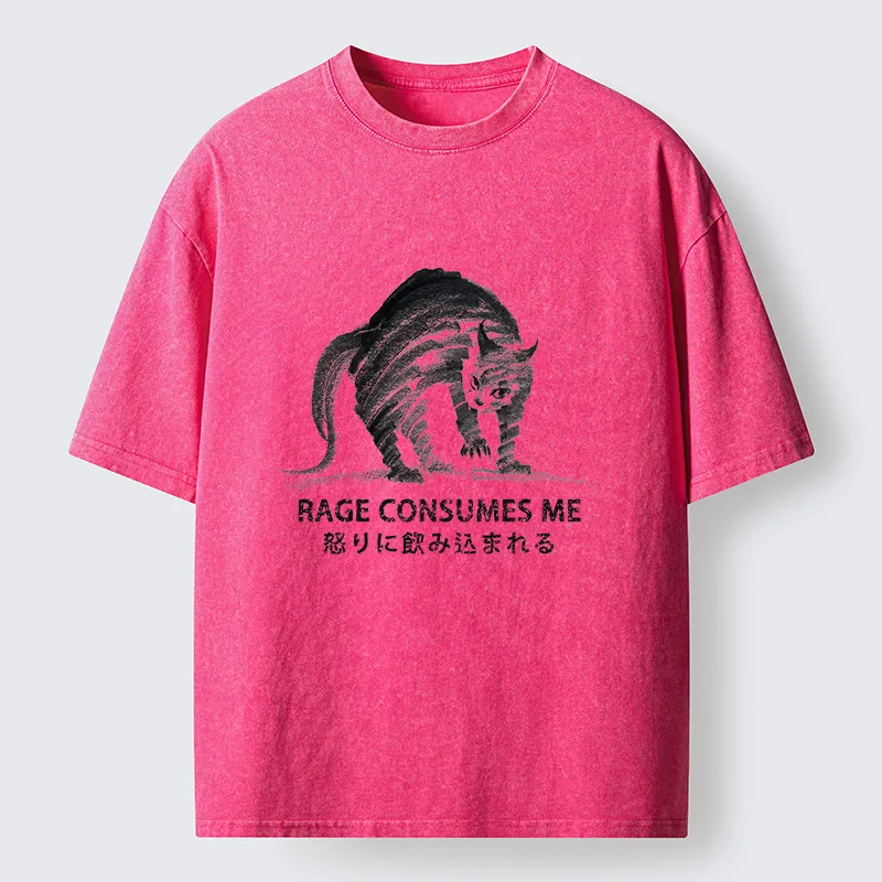 Tokyo-Tiger Rage Consumes Cat Washed T-Shirt