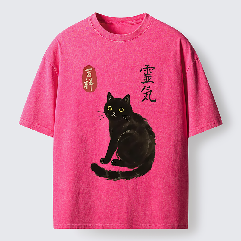 Tokyo-Tiger Japanese Black Cat Washed T-Shirt