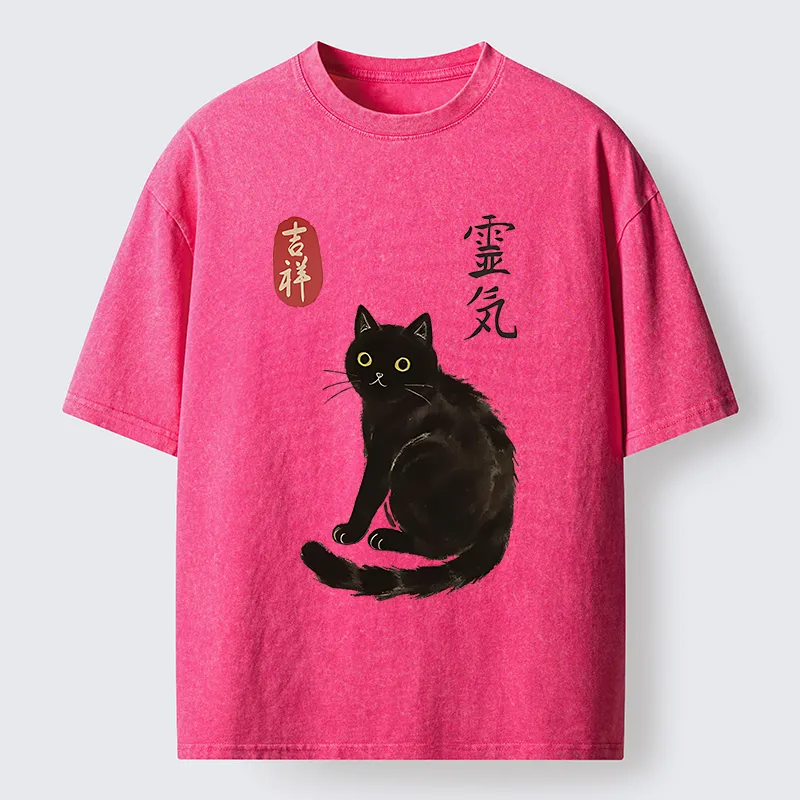 Tokyo-Tiger Japanese Black Cat Washed T-Shirt