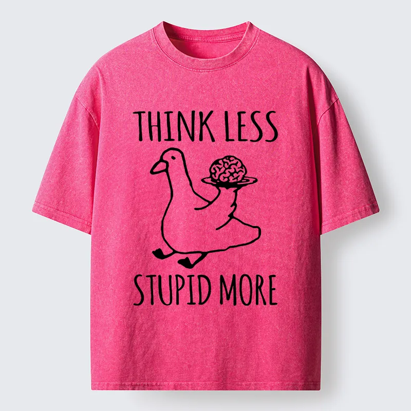 Tokyo-Tiger Foolish Goose Is Even More Foolish Washed T-Shirt