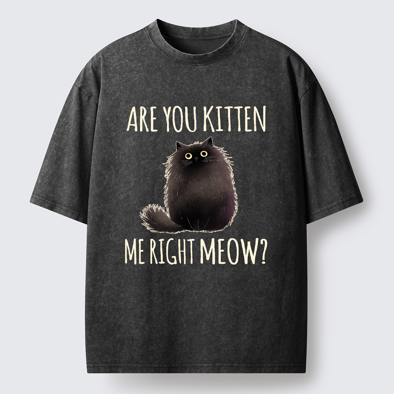 Tokyo-Tiger Kitten Me Right Meow Washed T-Shirt