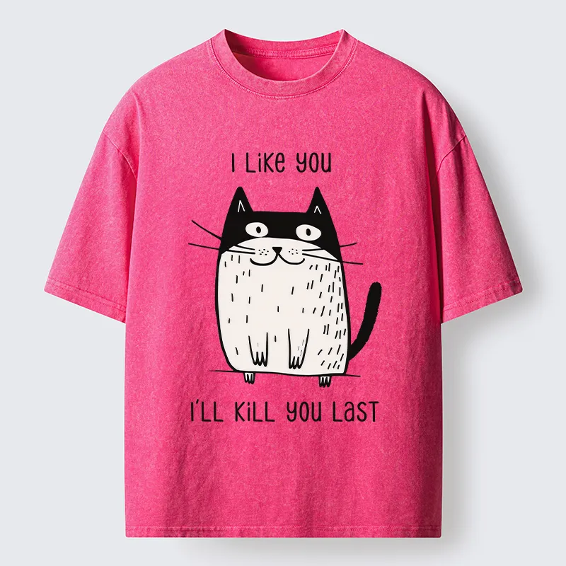 Tokyo-Tiger Cats Both Love And Hate Washed T-Shirt