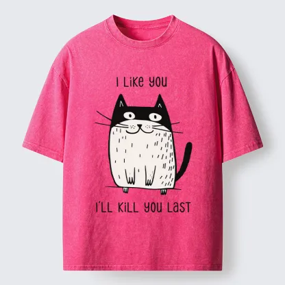 Tokyo-Tiger Cats Both Love And Hate Washed T-Shirt