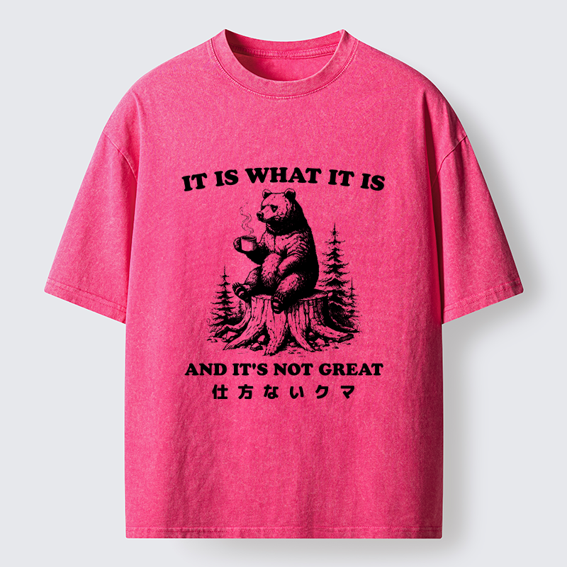 Tokyo-Tiger Melancholy Bear Washed T-Shirt