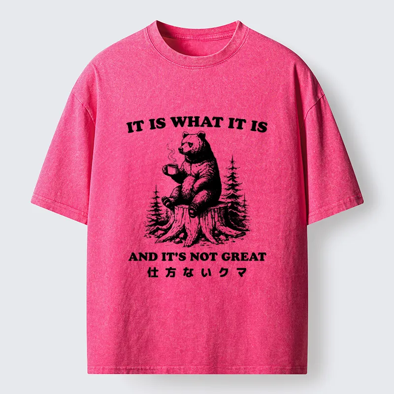 Tokyo-Tiger Melancholy Bear Washed T-Shirt