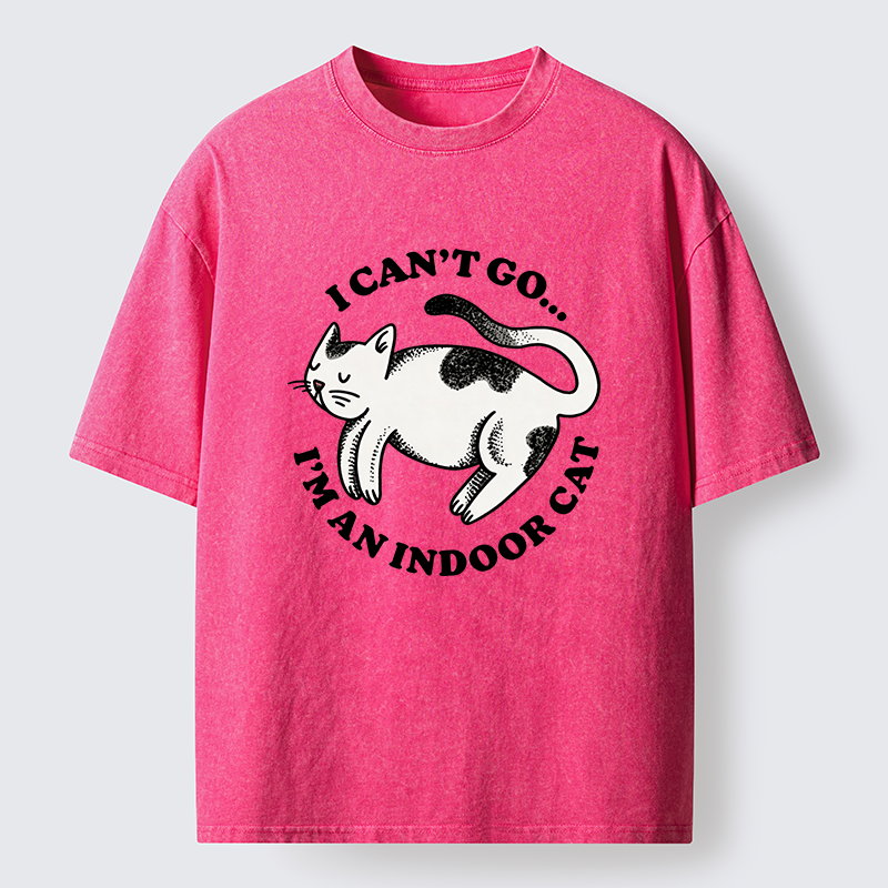 Tokyo-Tiger Indoor Cat Funny Washed T-Shirt