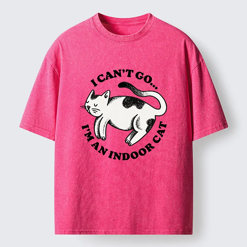 Tokyo-Tiger Indoor Cat Funny Washed T-Shirt