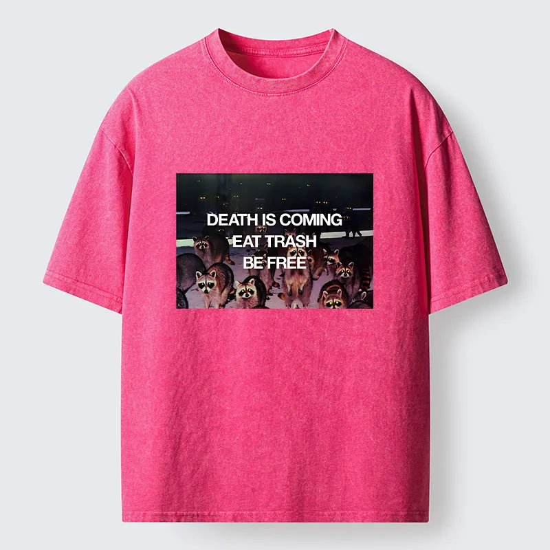 Tokyo-Tiger Groups Of Raccoons Washed T-Shirt