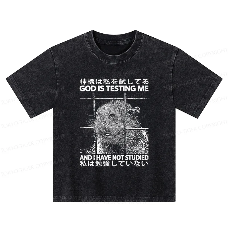 Tokyo-Tiger God Is Testing Me Kids Washed T-Shirt