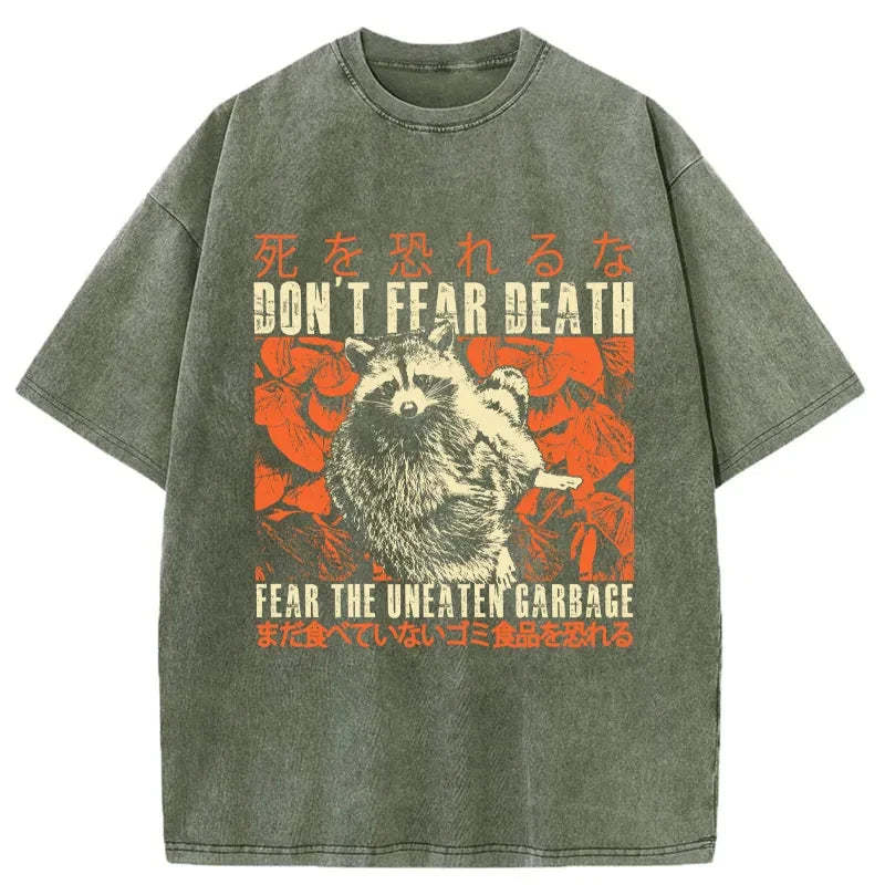 Tokyo-Tiger Timid Raccoon Japanese Washed T-Shirt
