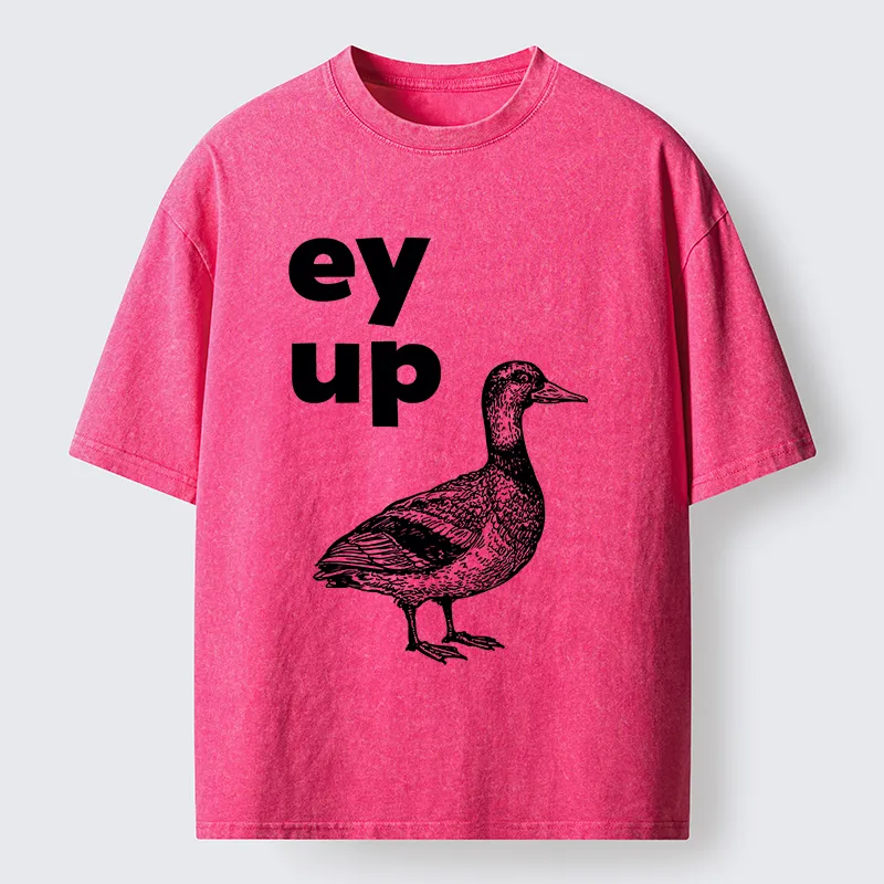 Tokyo-Tiger How Are You Dear Washed T-Shirt