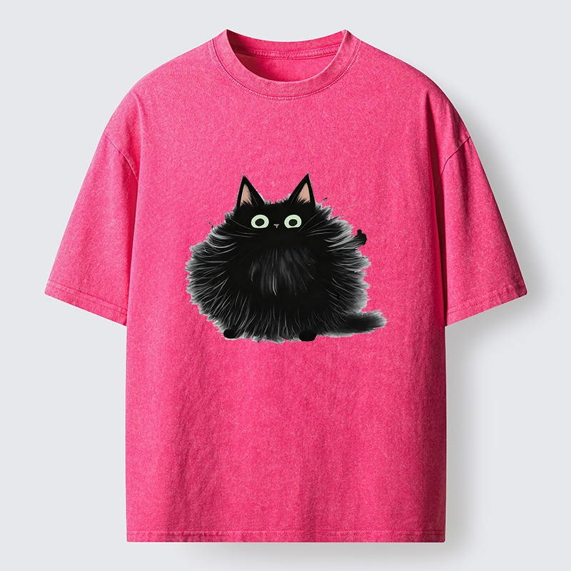 Tokyo-Tiger Cat's Approval Washed T-Shirt
