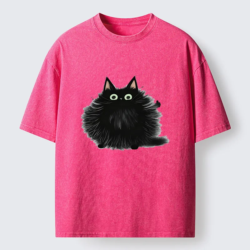 Tokyo-Tiger Cat's Approval Washed T-Shirt