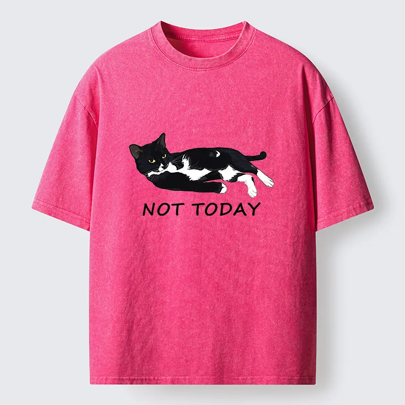 Tokyo-Tiger Cat Said Not Today Washed T-Shirt