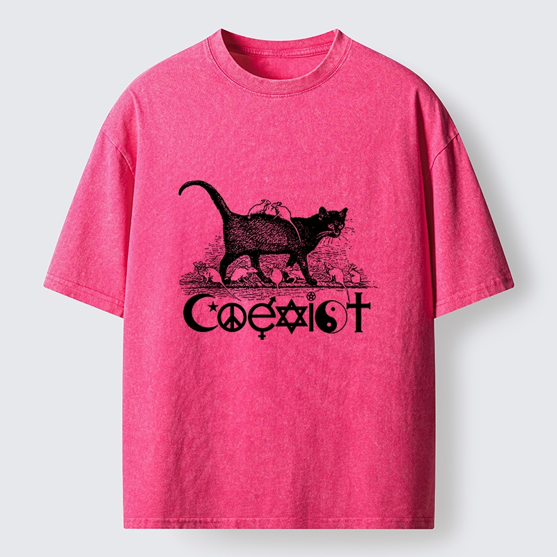 Tokyo-Tiger Coexist Funny Washed T-Shirt