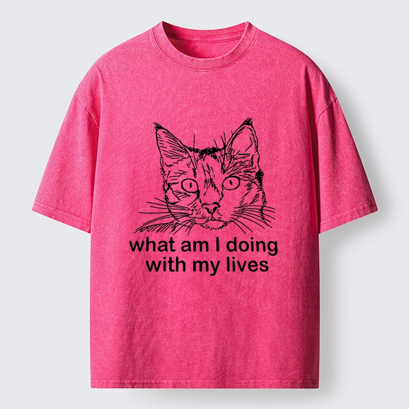 Tokyo-Tiger Confused Cat Life Reflection Washed T-Shirt