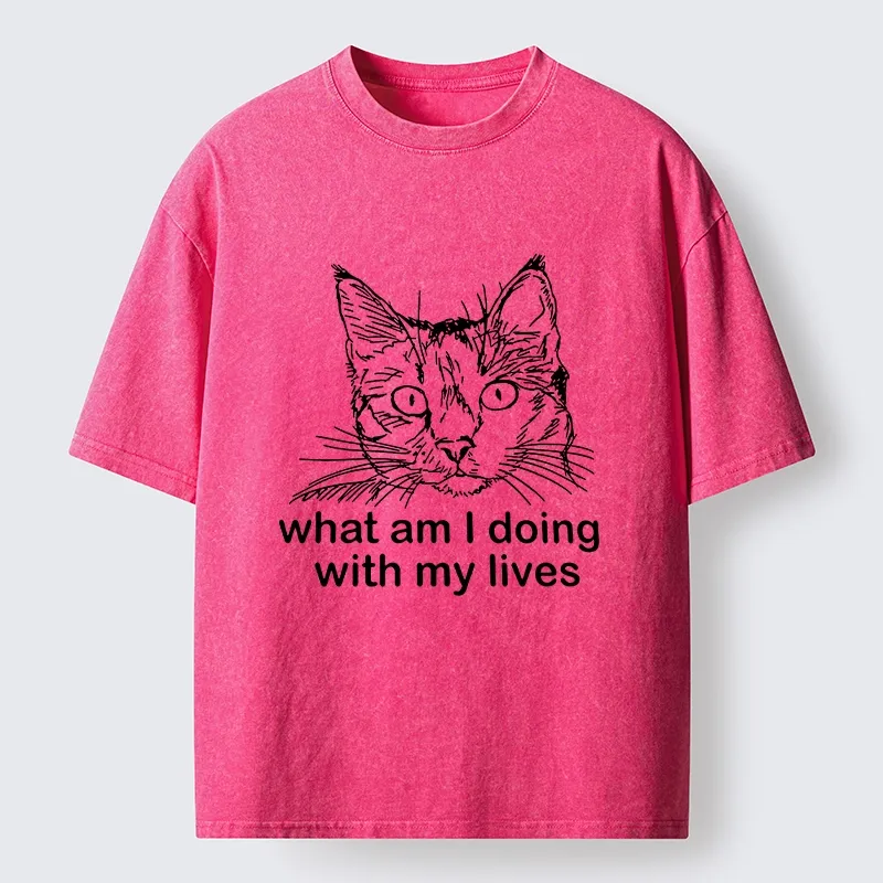 Tokyo-Tiger Confused Cat Life Reflection Washed T-Shirt