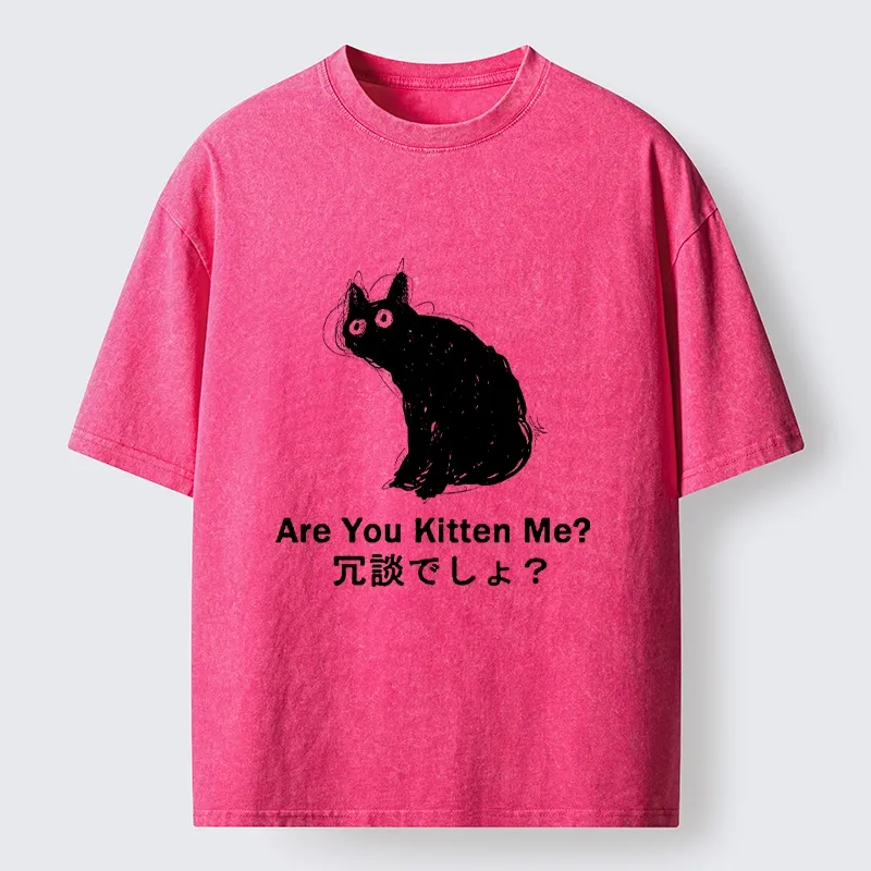 Tokyo-Tiger Are You Kitten Me Pun Art Washed T-Shirt