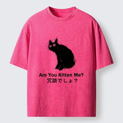 Tokyo-Tiger Are You Kitten Me Pun Art Washed T-Shirt